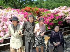 つつじ見学
