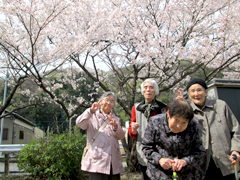 花見